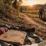 Incendies : l’État détaille aides et protections pour les communes des Pyrénées-Orientales